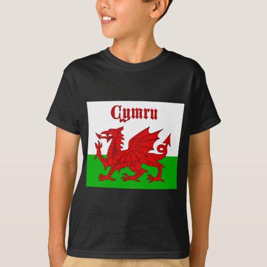 ウェールズ国旗Cymru Tシャツ (正面)