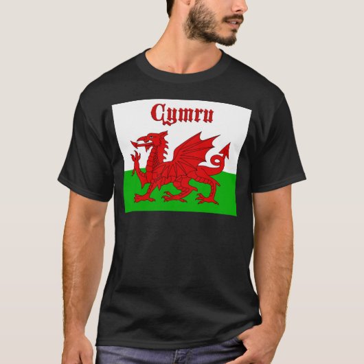 ウェールズ国旗Cymru Tシャツ (正面)