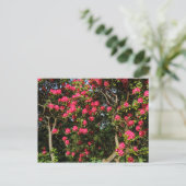 ウェールズ州カーディフのレッドロードンドロンドロンズビュートパーク ポストカード (スタンド正面)