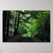 ウェールズ州カーディフ,ビュートパーク ポスター (正面)