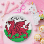ウェールズ州旗W杯2022レッドドラゴンサイmru ペーパープレート (パーティー)