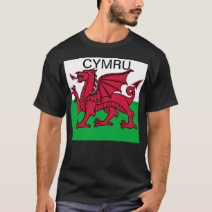 ウェールズ州旗W杯2022レッドドラゴンサイmru Tシャツ