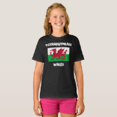ウェールズ州Ystradgynlais国旗 Tシャツ (正面フル)