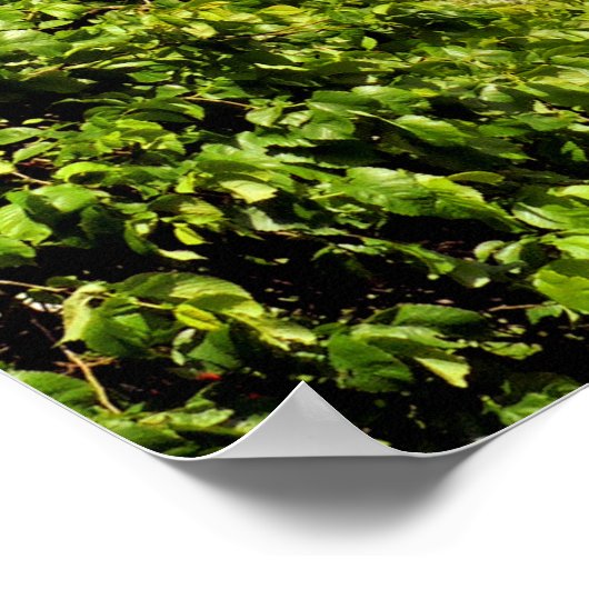 ウェールズ村 ポスター (角)