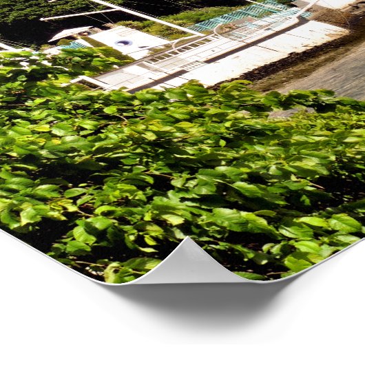 ウェールズ村 ポスター (角)