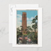 ウェールズ湖（フロリダ州） – 歌の景色 ポストカード (正面/裏面)