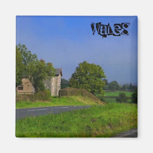 ウェールズ磁石 マグネット (正面)