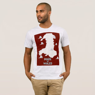 ウェールズ製 Tシャツ