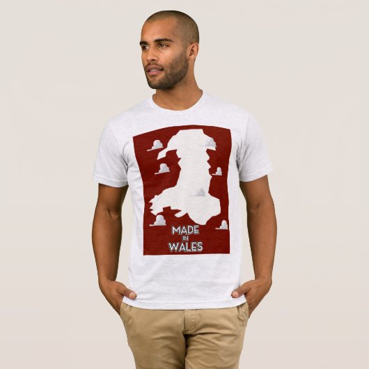 ウェールズ製 Tシャツ (正面フル)