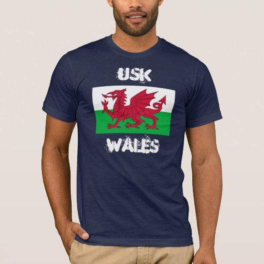 ウェールズ,ウェールズ国旗 Tシャツ (正面)