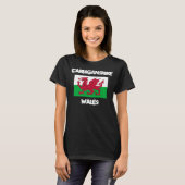 ウェールズ,カーディガンシャー州旗 Tシャツ (正面フル)