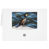 ウェールズ，カーディフ，カーディフ湾の鵜 (裏面横)