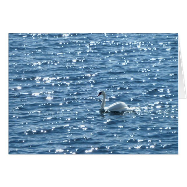 ウェールズ，カーディフ，カーディフ (正面横)