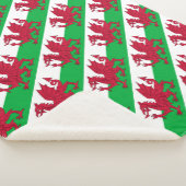 ウェールズ シェルパブランケット (3/4)