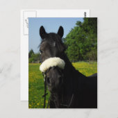 ウェールズ セクション D ポストカード (正面/裏面)