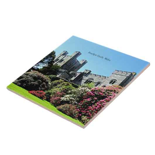 ウェールズ，ペンリン城 タイル (側面)