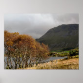 ウェールズ ポスター (正面)