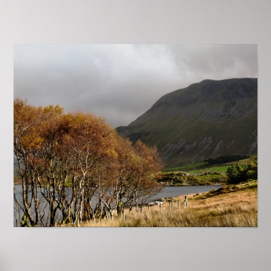 ウェールズ ポスター (正面)