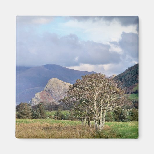 ウェールズ マグネット (正面)