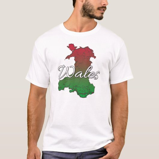 ウェールズ Tシャツ (正面)