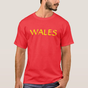 ウェールズTシャツ Tシャツ