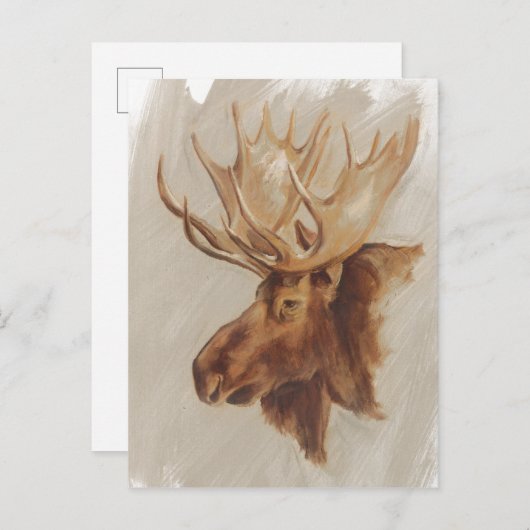 ウエスタンアメリカンアニマル勉強 |ムースポートレート ポストカード (正面/裏面)