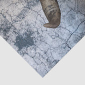 ウエスタンカウキャトルスカルデクページティッシュペーパー 薄葉紙 (詳細)