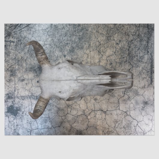 ウエスタンカウキャトルスカルデクページティッシュペーパー 薄葉紙 (正面)