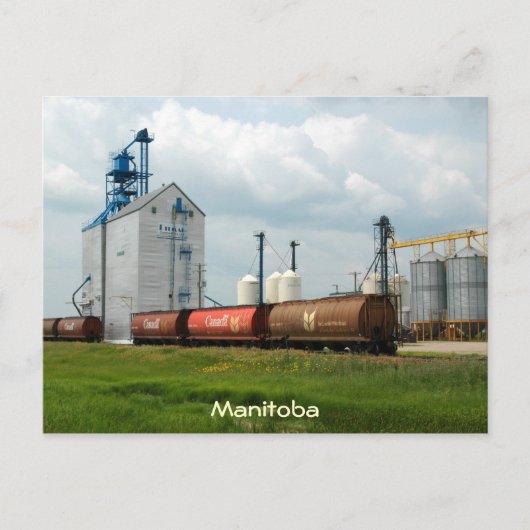 ウエスタングレインエレベーター ポストカード (正面)