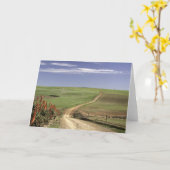 ウエスタンケープカレドン付近の開花アロエ カード (黄色い花)