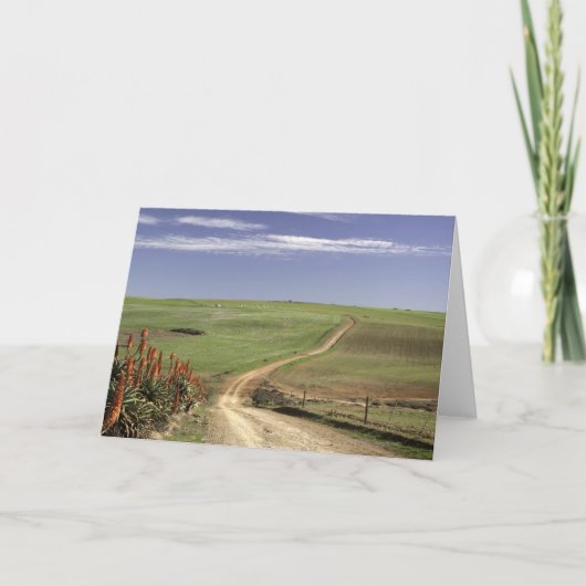 ウエスタンケープカレドン付近の開花アロエ カード (正面)