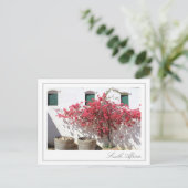 ウエスタンケープワインファーム建物シティスケープ ポストカード (スタンド正面)