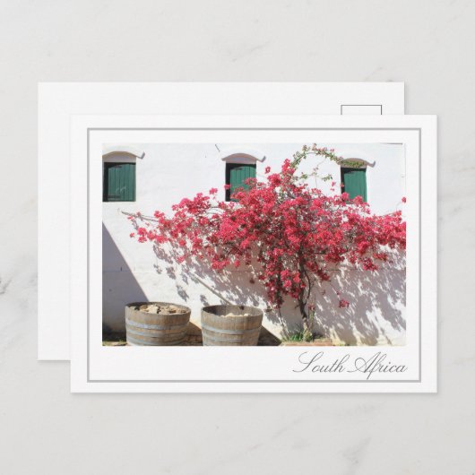 ウエスタンケープワインファーム建物シティスケープ ポストカード (正面/裏面)