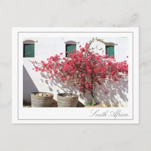 ウエスタンケープワインファーム建物シティスケープ ポストカード (正面)