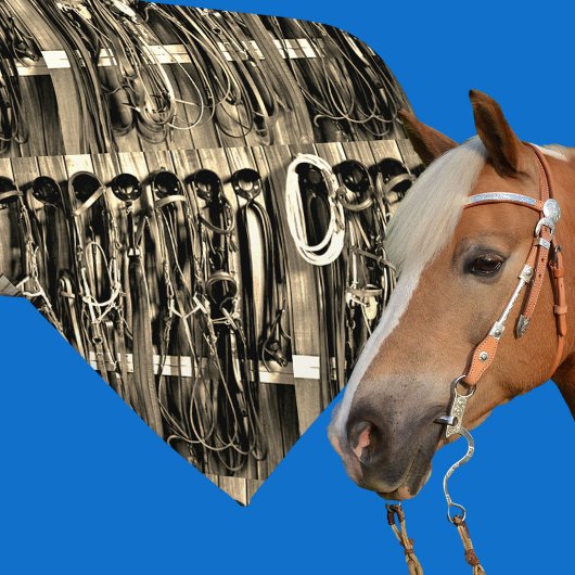 ウエスタンタックルームブリドルローププリントネクタイ2 ネクタイ