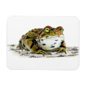 ウエスタンタッド磁石 マグネット (横)