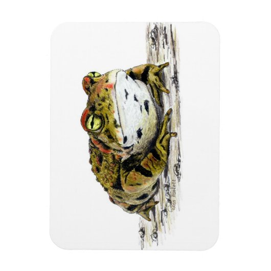 ウエスタンタッド磁石 マグネット (縦)