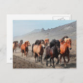 ウエスタントレイル ポストカード (正面/裏面)