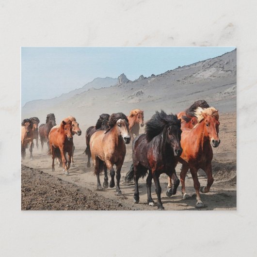 ウエスタントレイル ポストカード (正面)