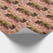 ウエスタンハニービーオンセダム ラッピングペーパー (角)