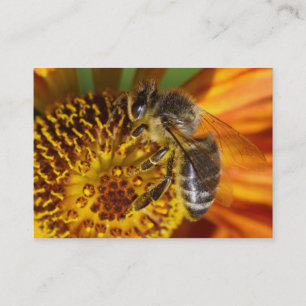 ウエスタンハニービーマクロフォト 名刺