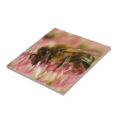 ウエスタンハニービーマクロ タイル (側面)