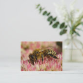 ウエスタンハニービーマクロ 名刺 (スタンド正面)