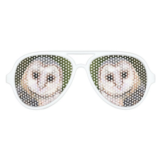 ウエスタンバーンフクロウおもしろいサングラス アビエーターサングラス (正面)