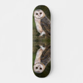 ウエスタンバーンフクロウスケートボード スケートボード (正面)