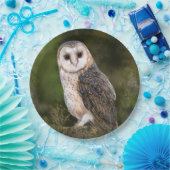 ウエスタンバーンフクロウ紙プレート ペーパープレート (パーティー)