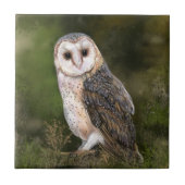 ウエスタンバーンフクロムセラミックスタイル タイル (正面)