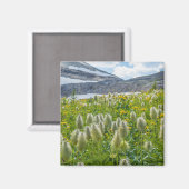 ウエスタンパスクフラワー | イーストクテネイ山脈 マグネット (正面/裏面)