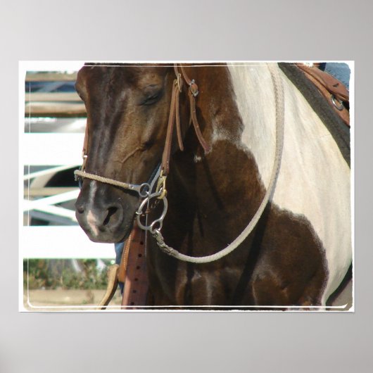 ウエスタンピントポニー ポスター (正面)