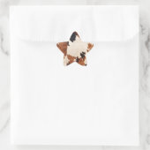 ウエスタンブラウン白黒コウィド 星シール (バッグ)